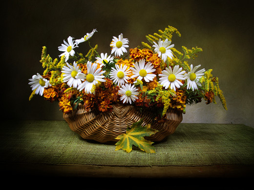 �1761243 �������(a): ����������:2400x1800